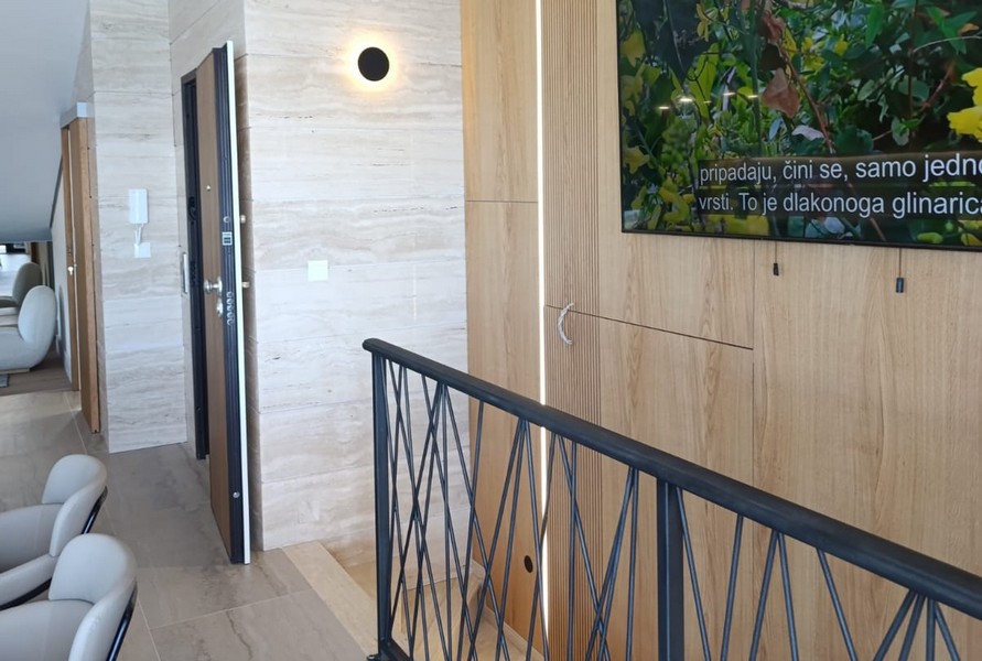 Terrace and view of the interior.