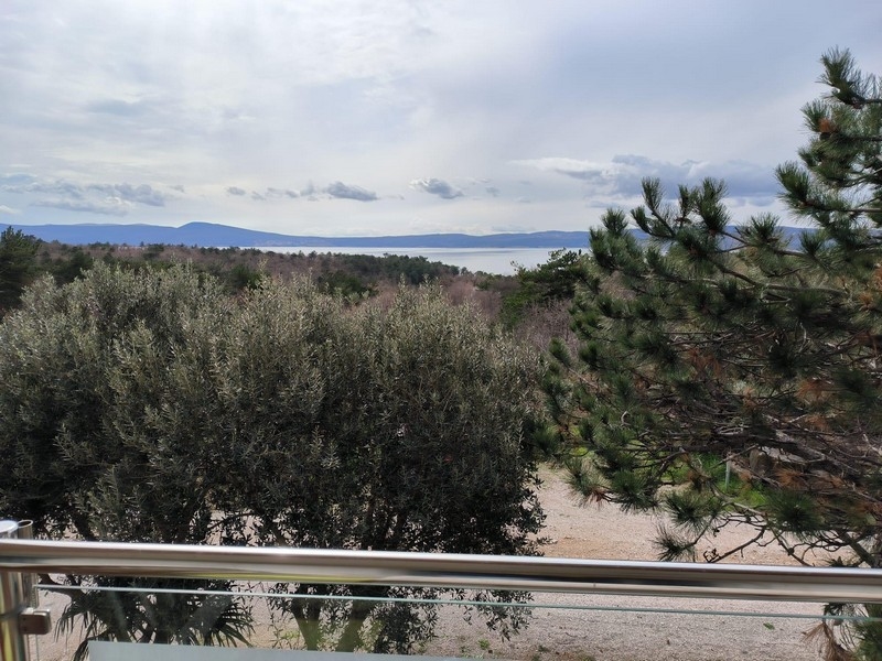 View from a terrace in Croatia with partial sea views, surrounded by pine and olive trees.