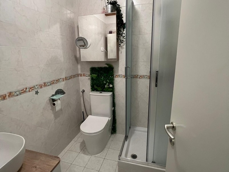 Bathroom with shower, toilet and countertop washbasin