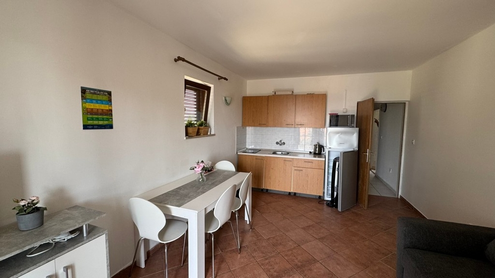 View of the dining table and the kitchen of the apartment A3648, offered by Panorama Scouting.