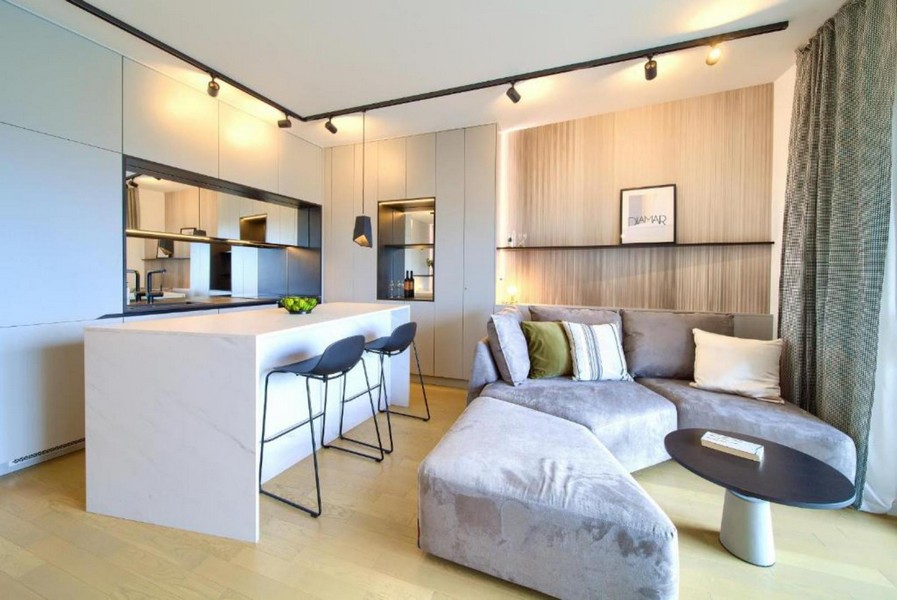 Open living area with kitchen and sofa