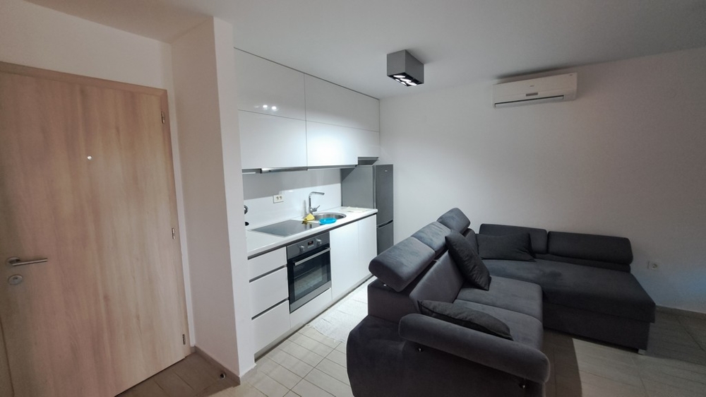 Modern kitchen-living room