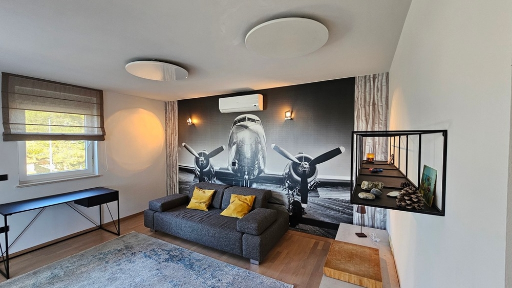Living room with sofa and wall motif in apartment in Novigrad