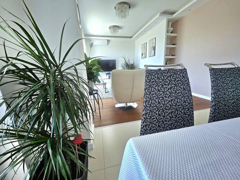 Living room with houseplant and patterned chairs in the foreground