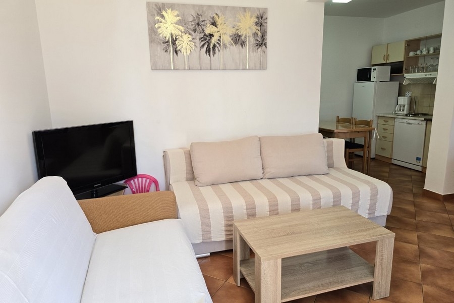 Living room with sofa, coffee table and TV