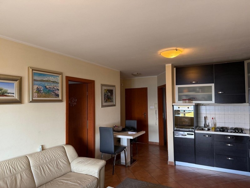 Open living and kitchen area with fitted kitchen