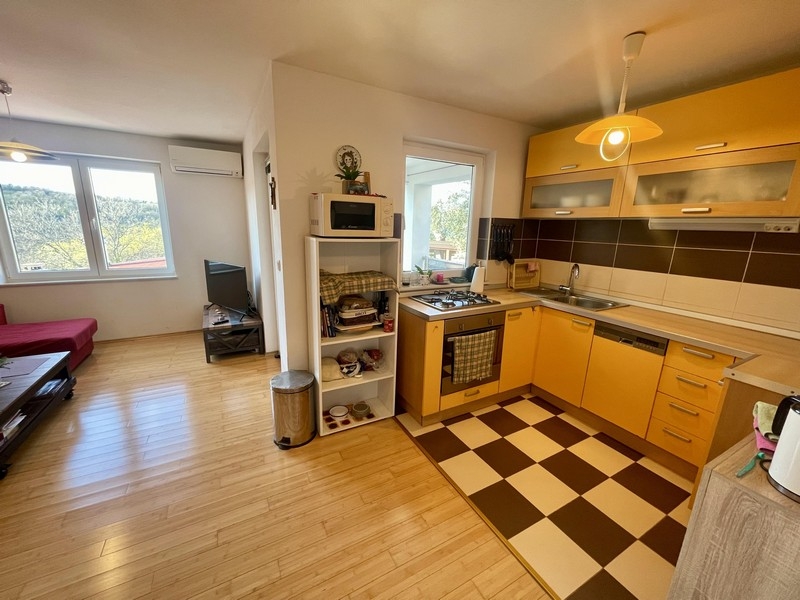 Kitchen area with modern equipment and dining area in the living room