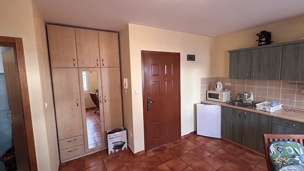 Kitchen and entrance area.