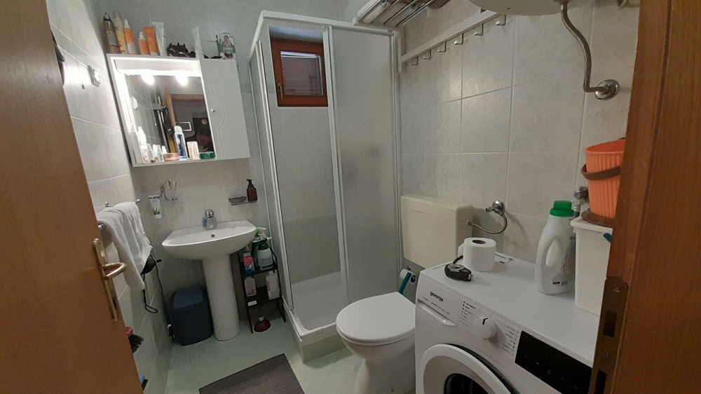 Bathroom with shower, washing machine and toilet