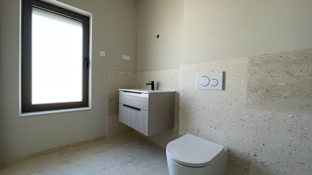 Modern bathroom with shower, vanity and toilet