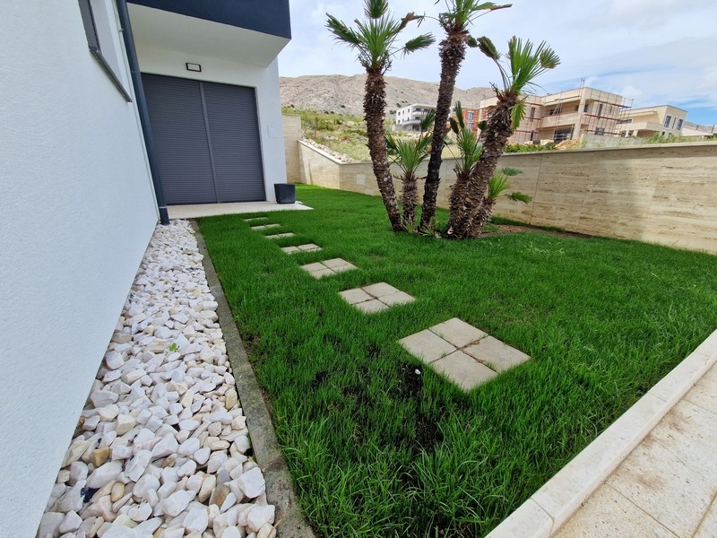 Well-kept garden with palm trees and green space