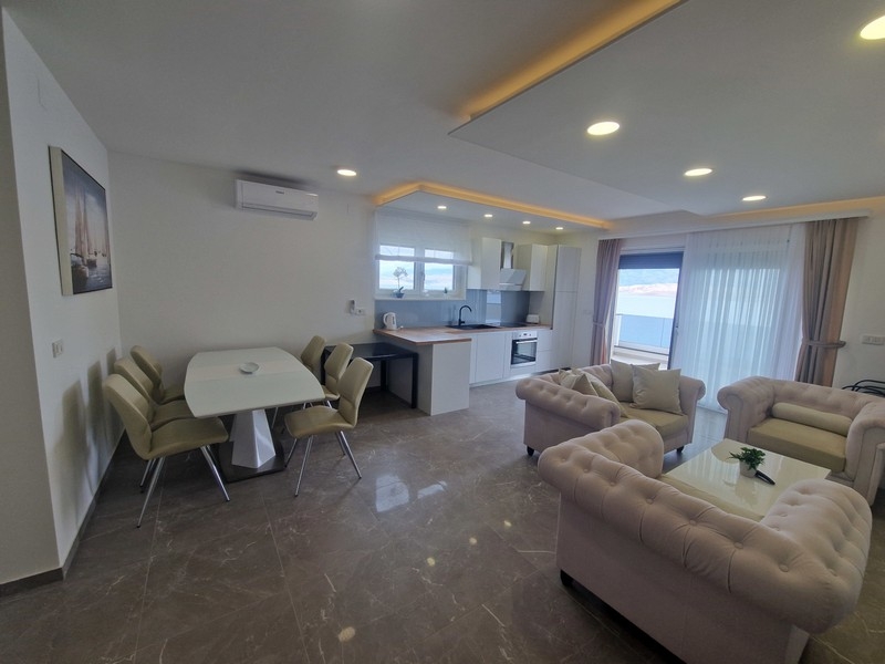 Modern living and dining area with open kitchen