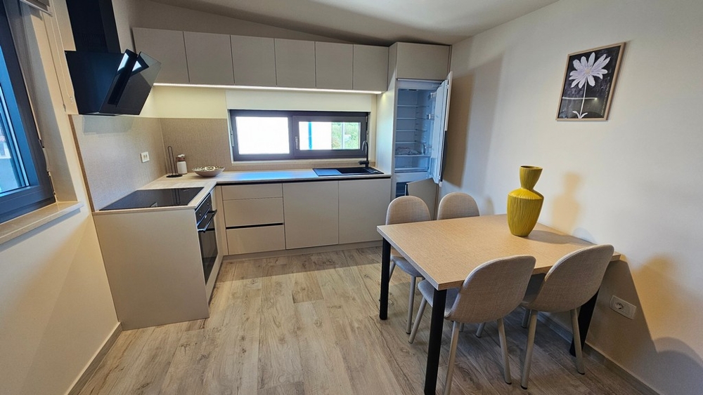 Modern kitchen with living area in apartment in Croatia