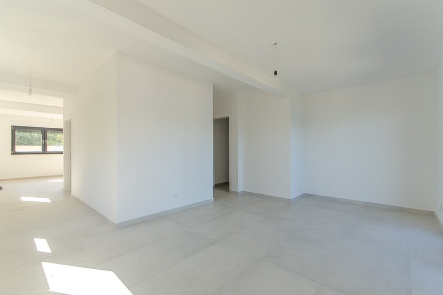 Open living area with lots of natural light