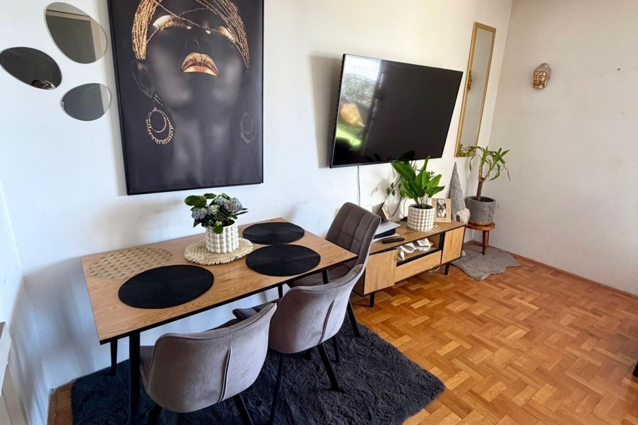 Living area with dining table and television