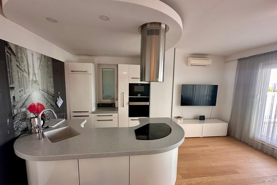 Modern kitchen with cooking island and extractor hood