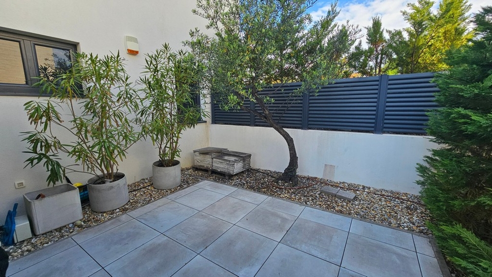 Planted garden area with terrace and olive tree