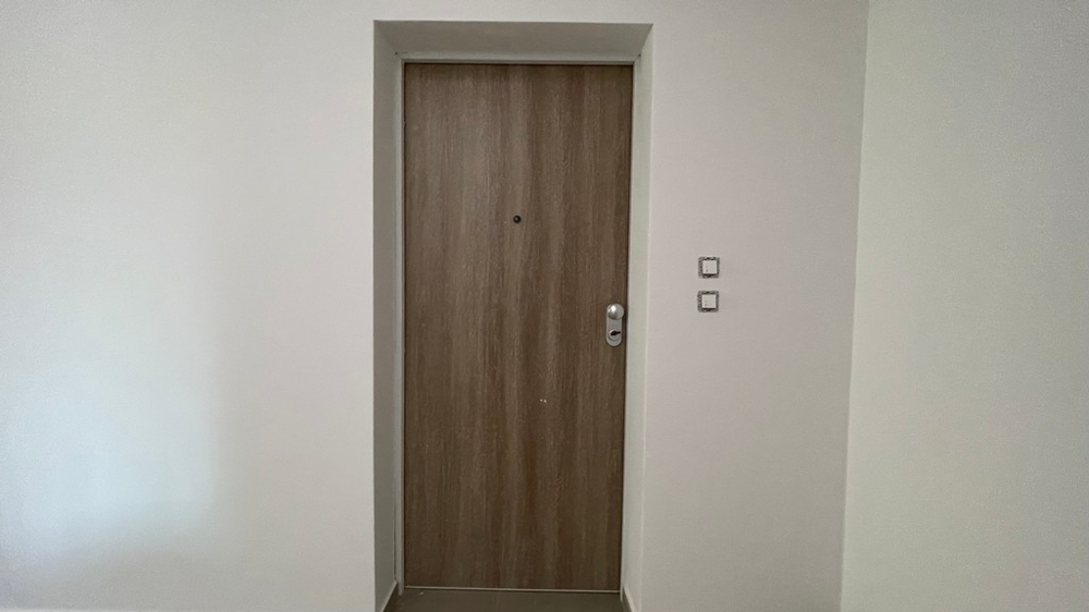 Entrance door of the apartment