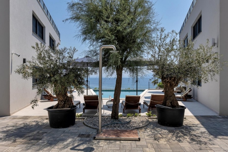 Terrace with olive tree and sea view