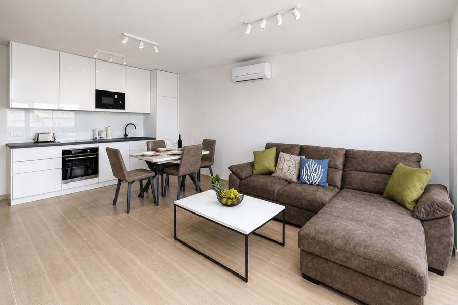 Open living and cooking area with modern kitchen