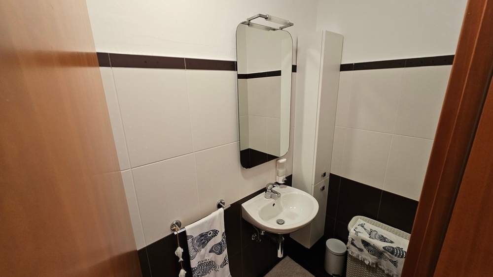 Separate toilet with sink