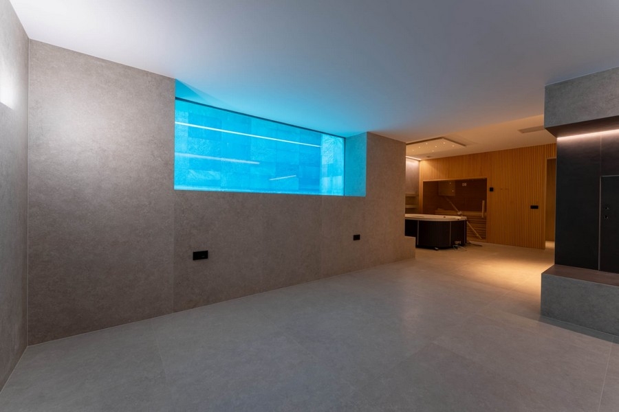 Basement with window to the pool