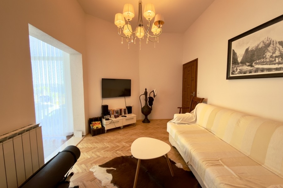 Living room with sofa and television