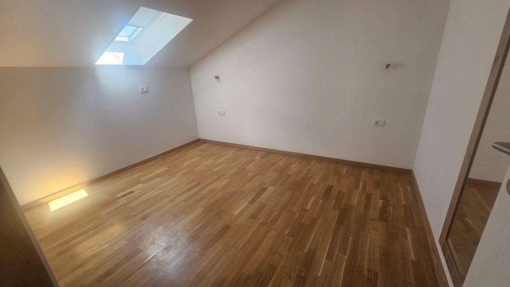 Room with skylight and wooden floor
