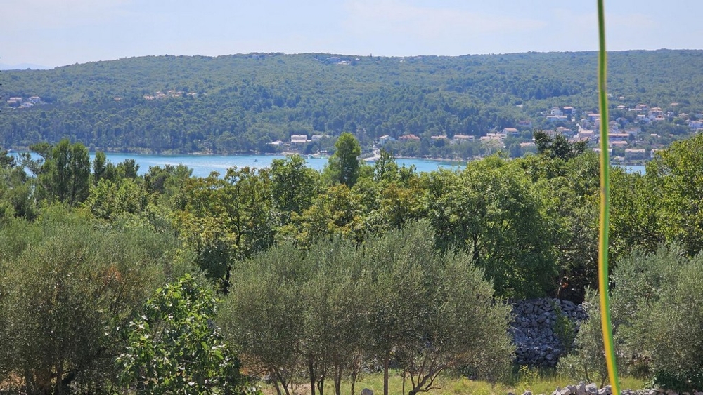 View over olive trees to the bay of Soline