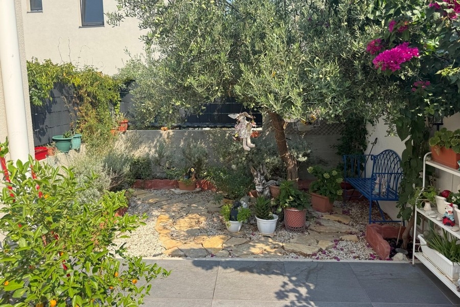 Garden with old olive tree and flowers