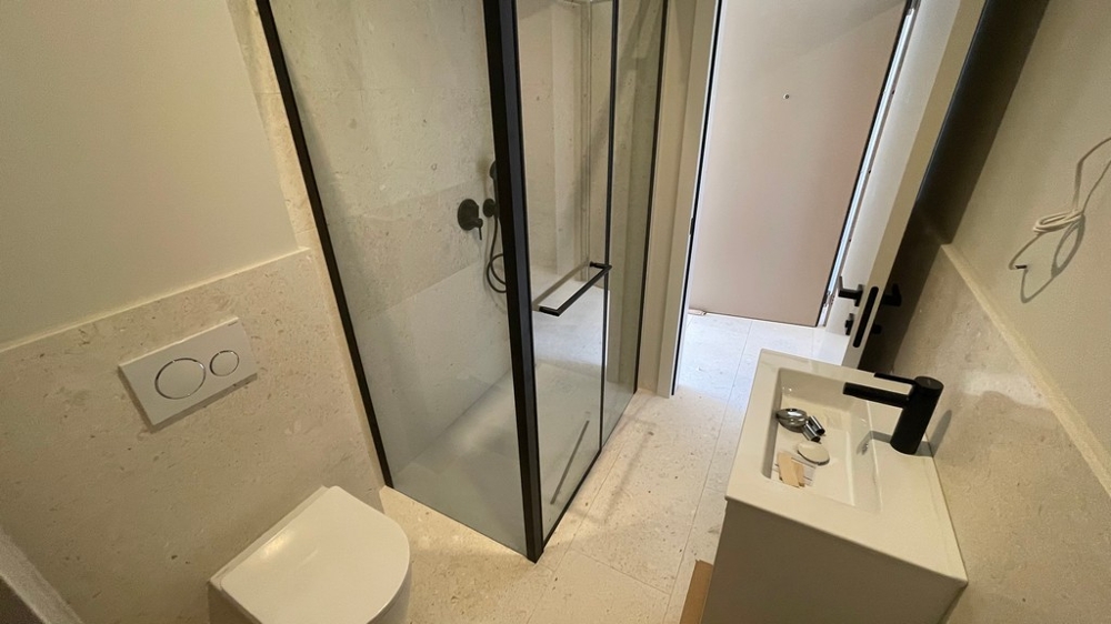 Shower with glass wall and washbasin