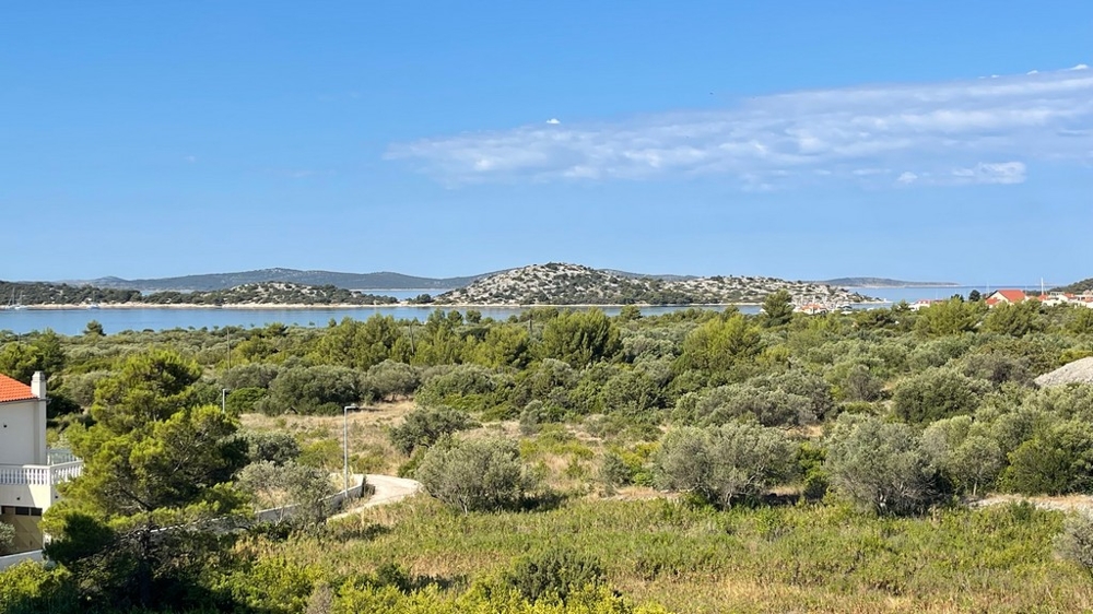 Wide view over olive groves to the bay of Vodice