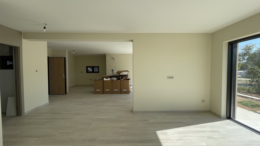 Large living room with dining area