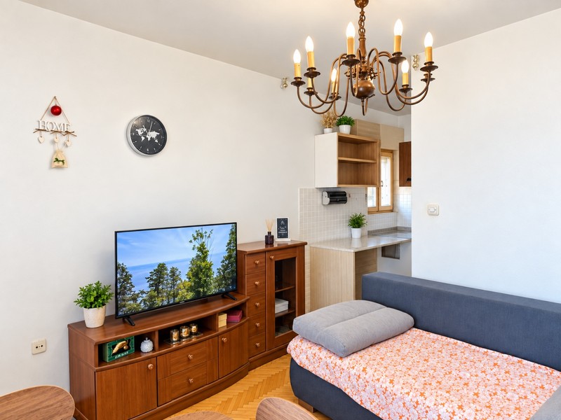Living area with television