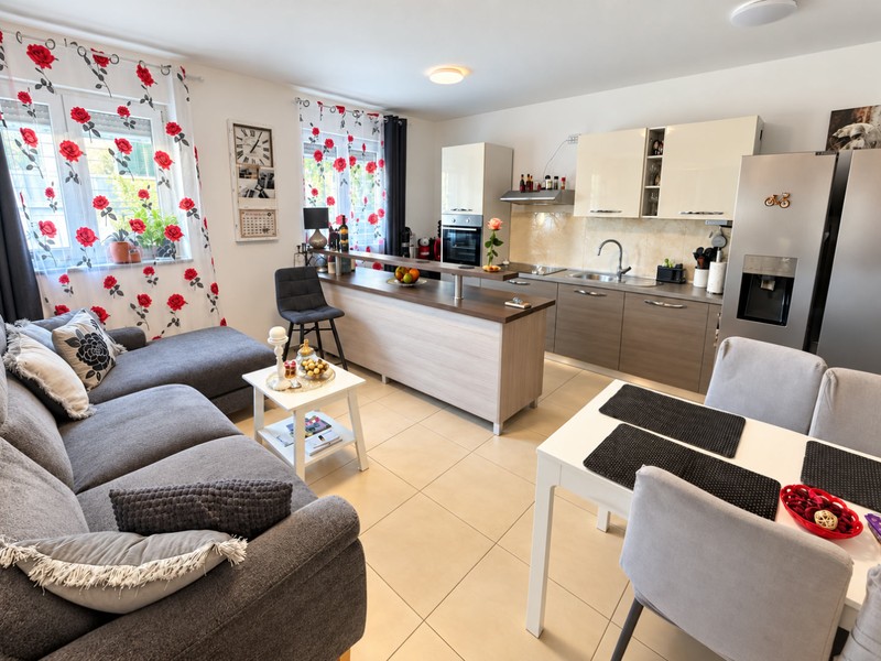 Dining table and kitchen unit in the living room