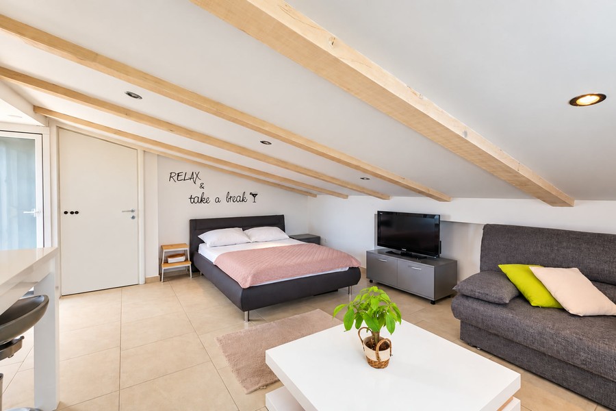 Studio with sleeping area and sofa