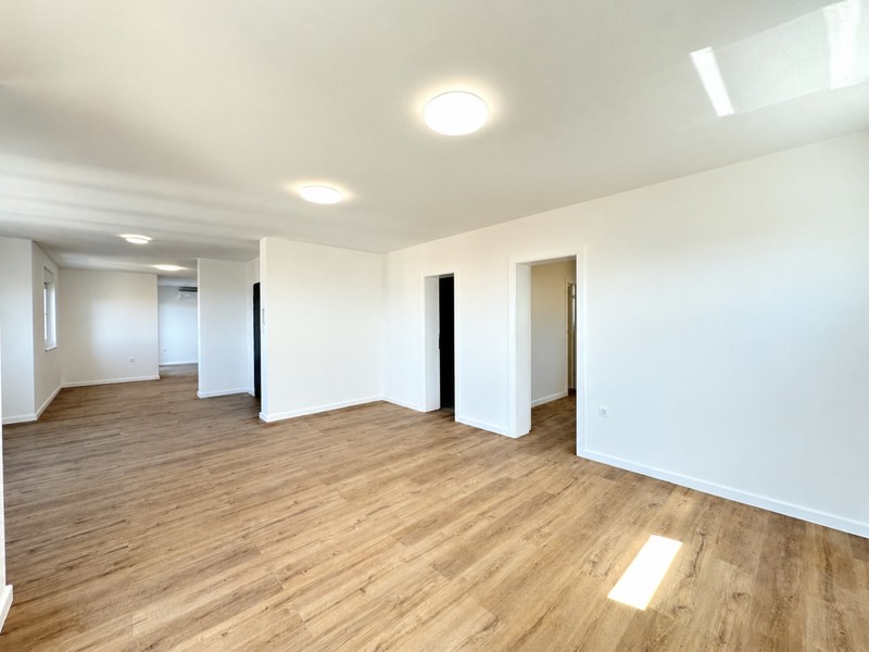 Open-plan living area with passage to the bedrooms