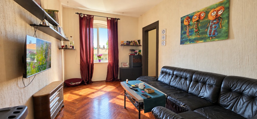 Living room with leather sofa and television