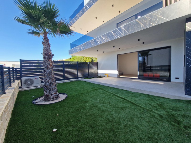 Garden with palm tree in front of the building