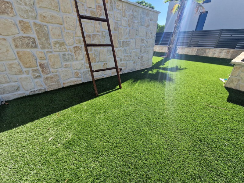 Garden with artificial turf and palm tree