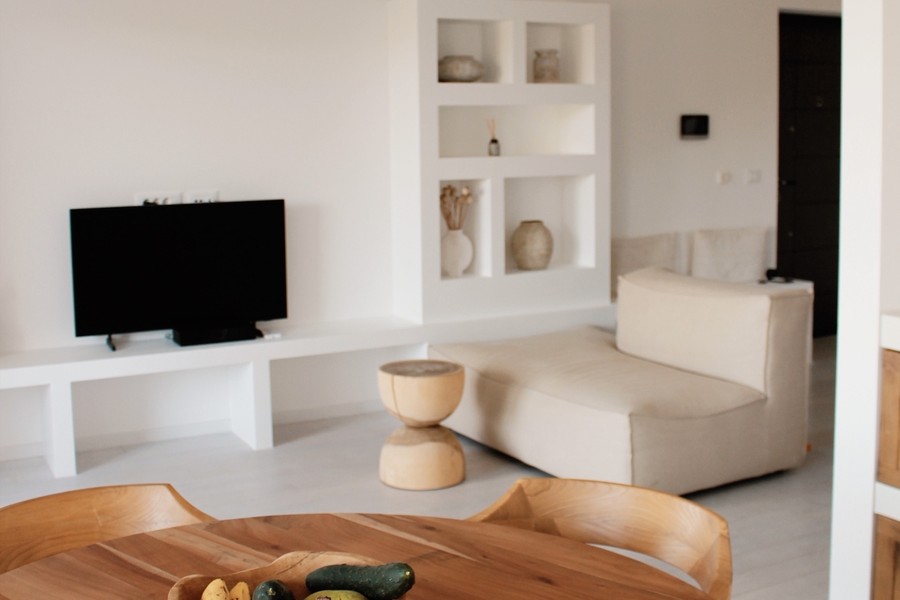 Living room with shelving and television