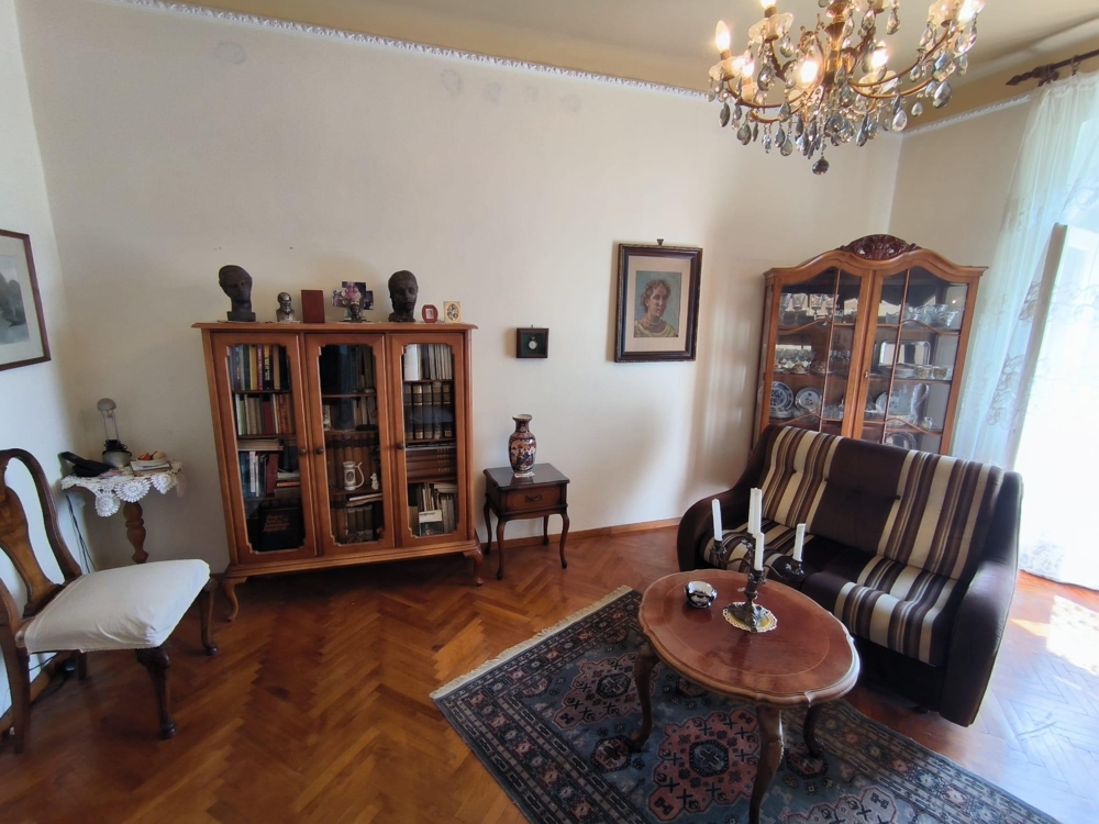 Living room with classic furniture and chandelier