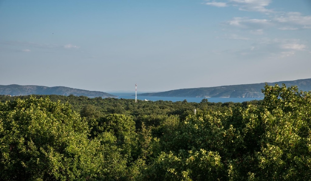 Treetops with a view of the strait and the wind mast