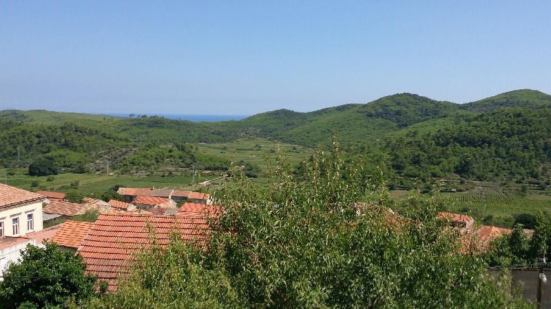 Tiled roofs with views over the green hills to the sea