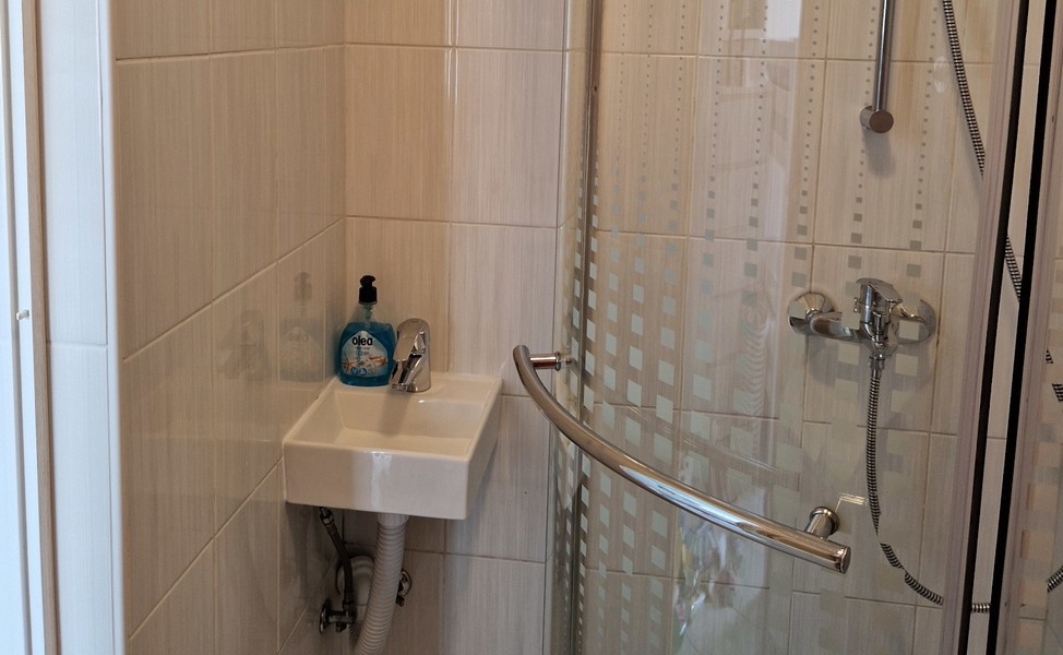 Shower room with hand basin