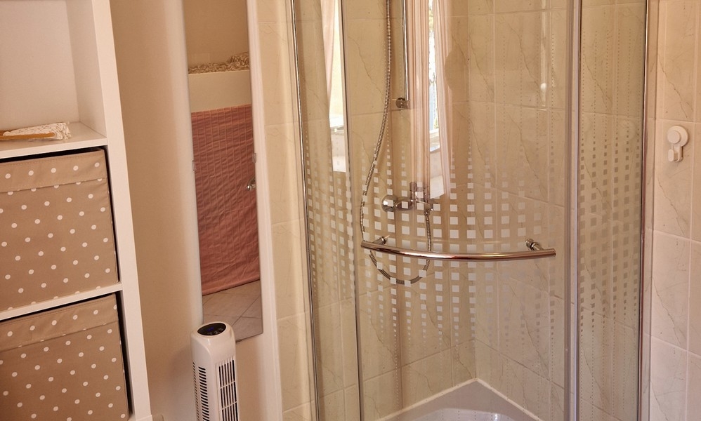 Shower with glass partition