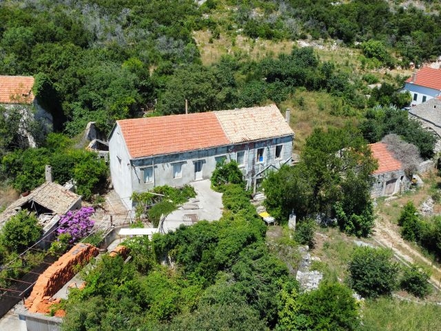 Old stone house with tiled roof among dense greenery
