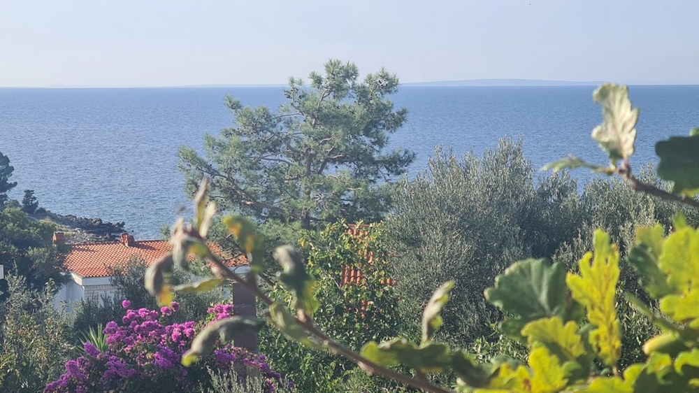 Apartment building with sea views - Panorama Scouting - H2810
