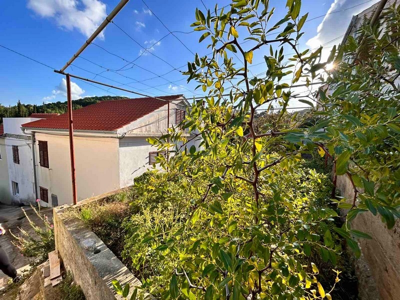 Lush garden with a variety of green plants outside a traditional Croatian house, available through Panorama Scouting.