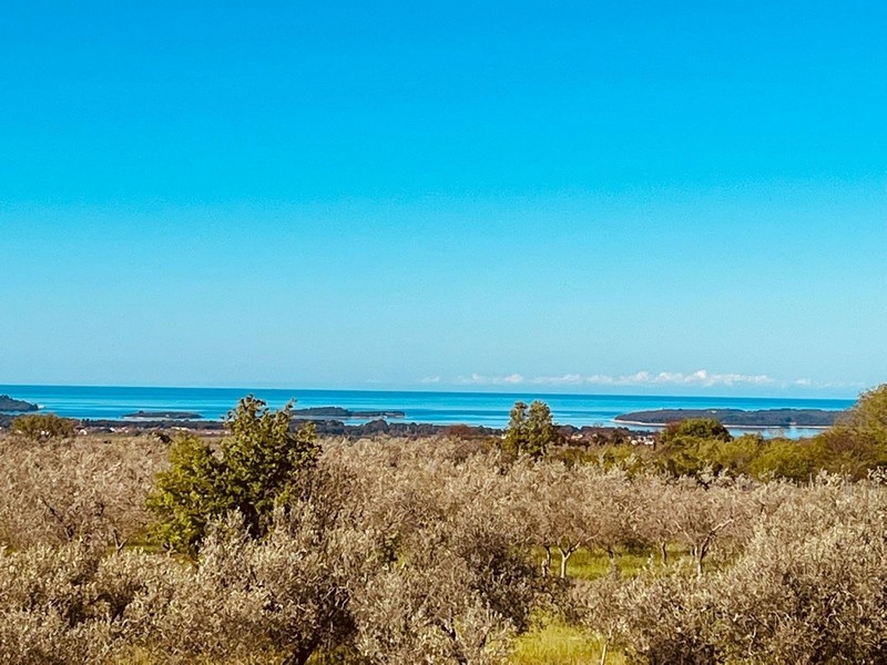 View from property H3485 in Istria - Panorama Scouting.